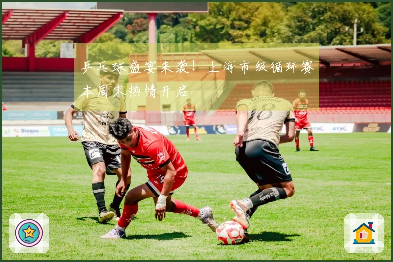 乒乓球盛宴来袭！上海市级循环赛本周末热情开启
